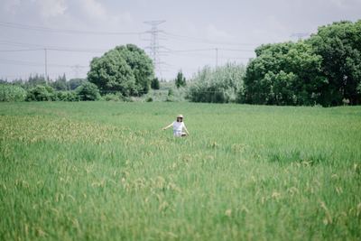 夏日完结