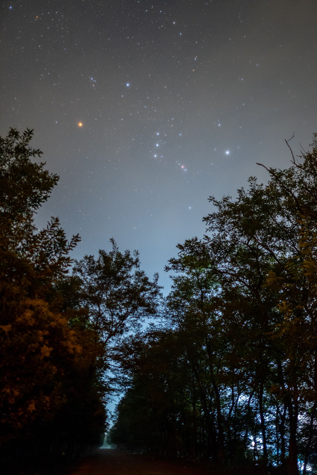 猎户座刚刚升起